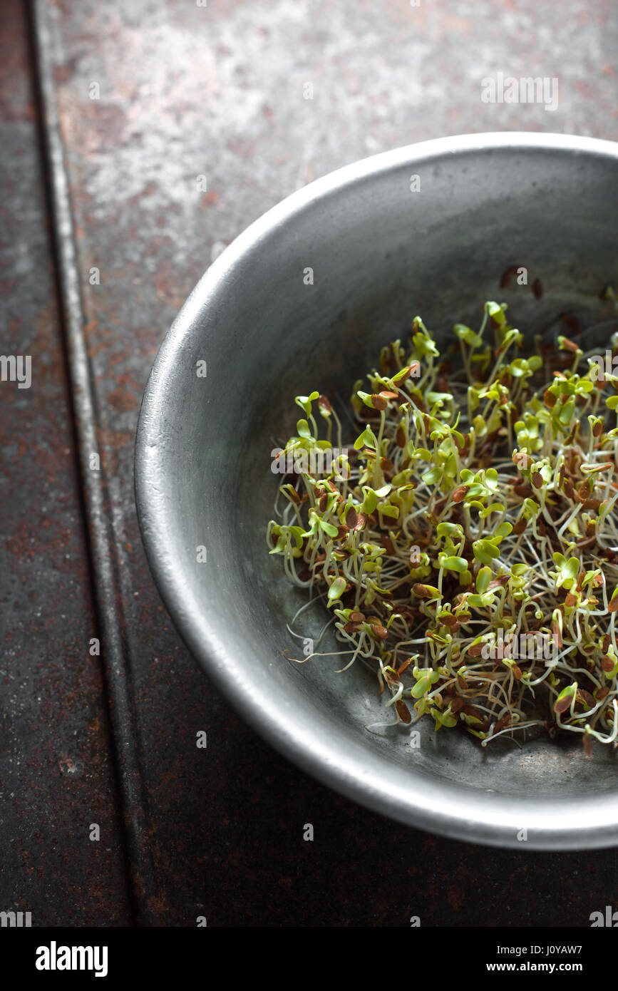Sprouting flax seed growing in a tray plants vertical Stock Photo Alamy