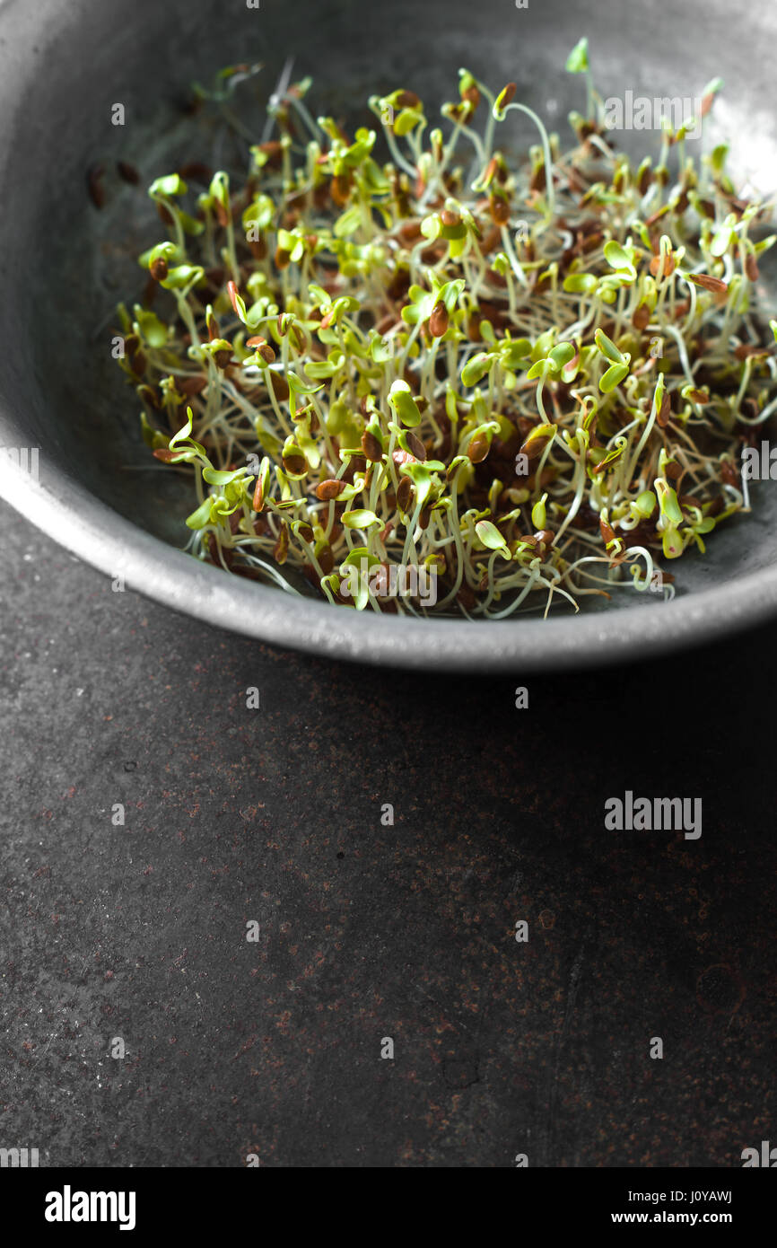 Flax seed sprouts hires stock photography and images Alamy