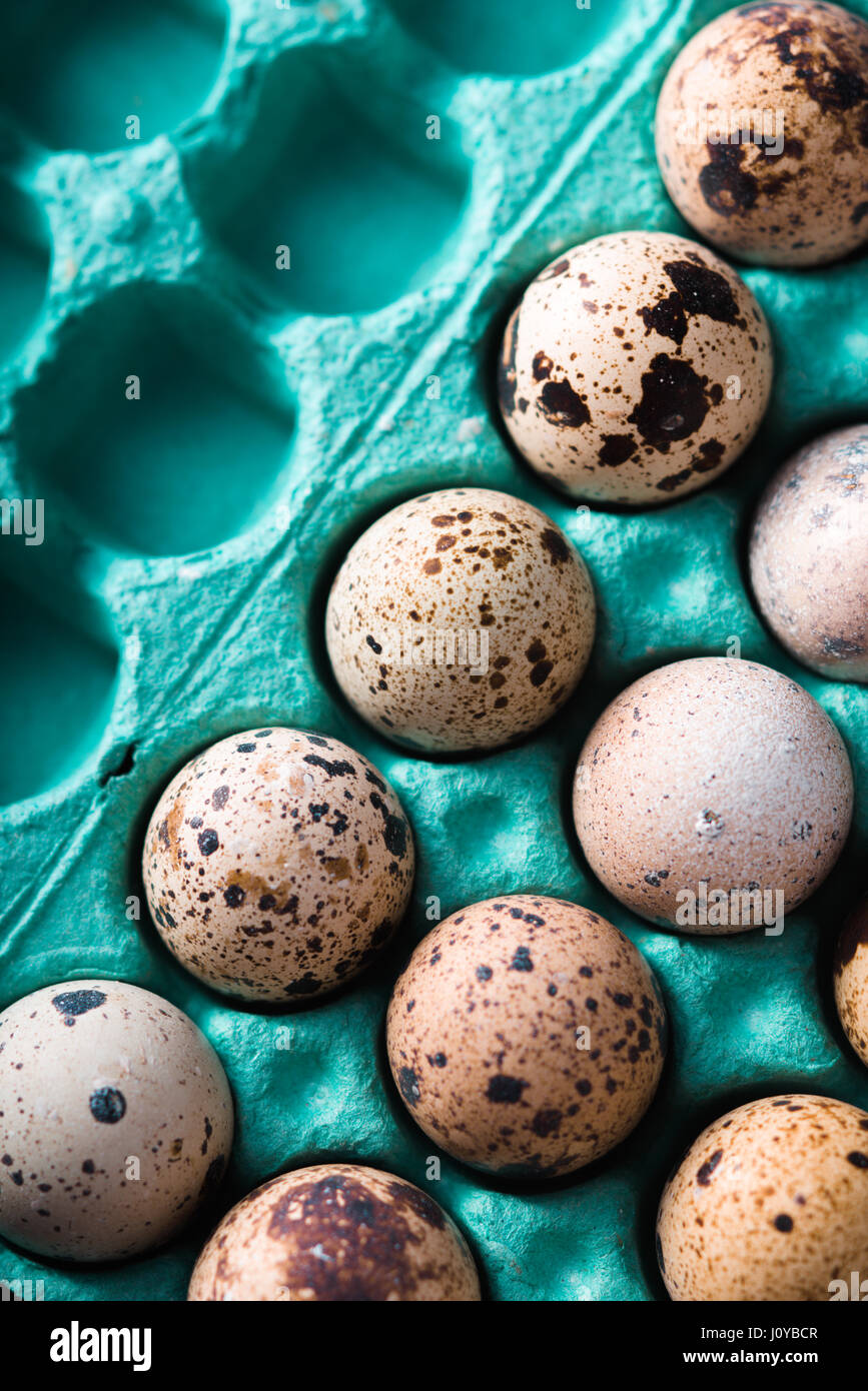 Quail eggs in the paper container Stock Photo Alamy