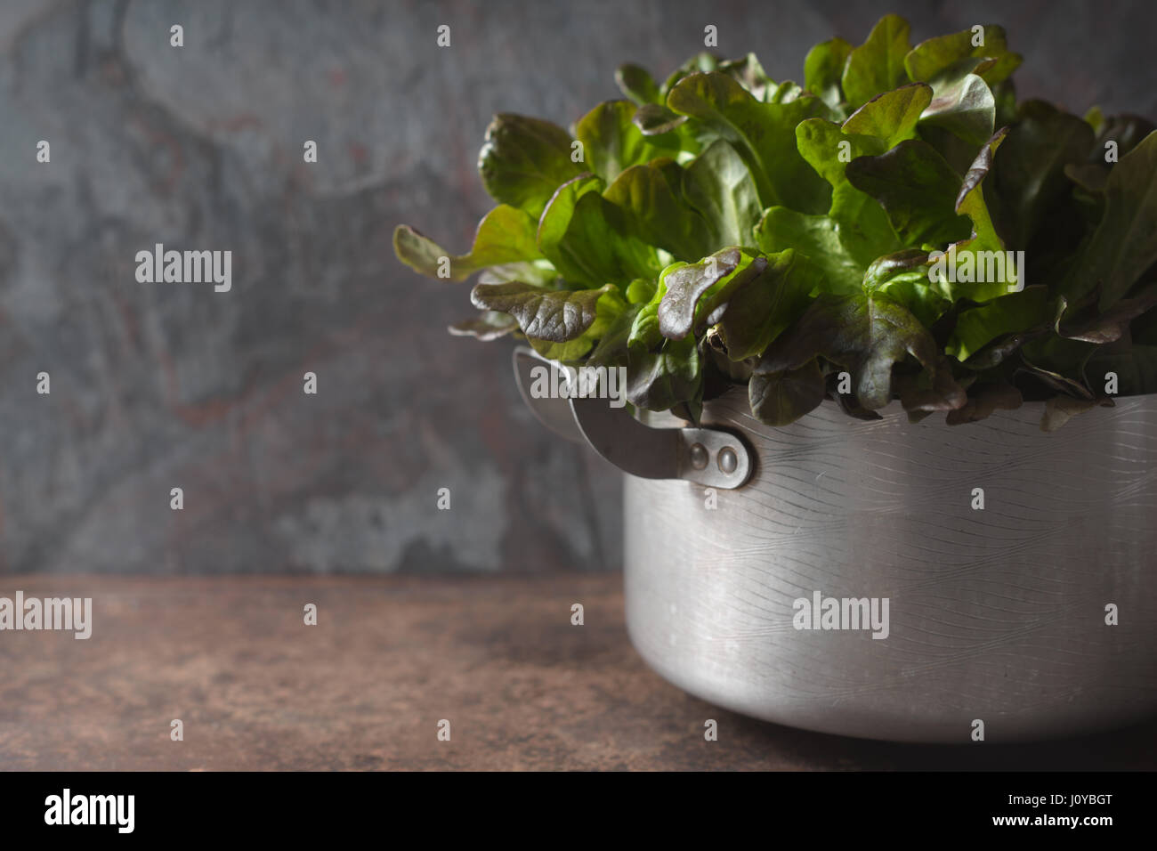 Leaves of salad in the metal pot horizontal Stock Photo