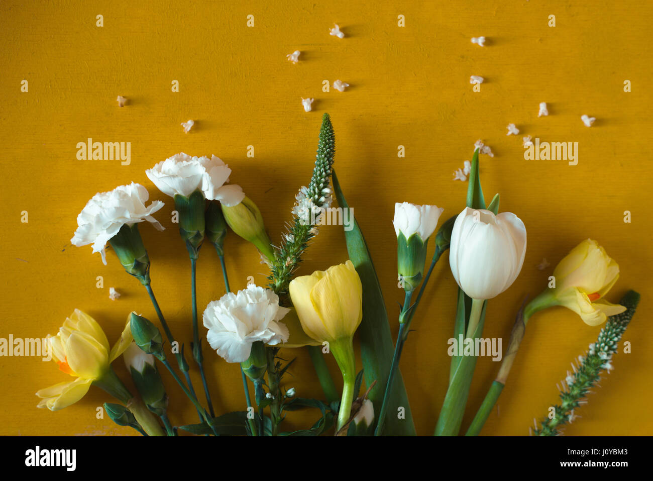Tulips and carnations on a yellow table Stock Photo