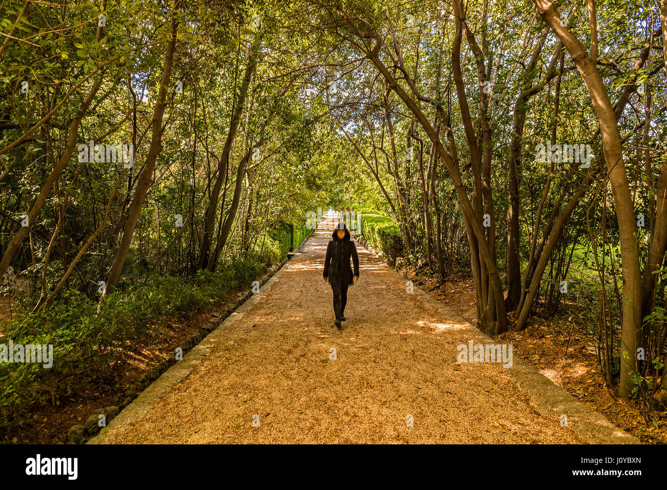 Croatia Dalmatia Trsteno Arboretum - Raised avenue with human Figure Stock Photo