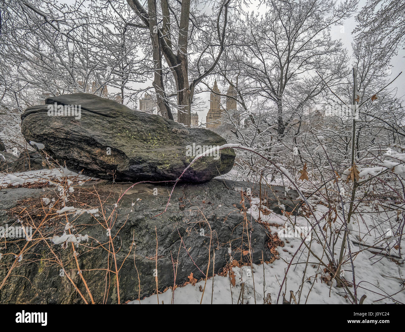 Central Park, New York City in winter after a snow storm Stock Photo ...