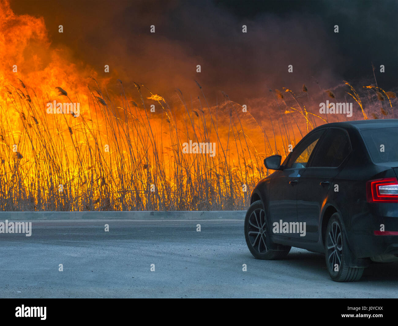 The car is about the huge dangerous fire Stock Photo