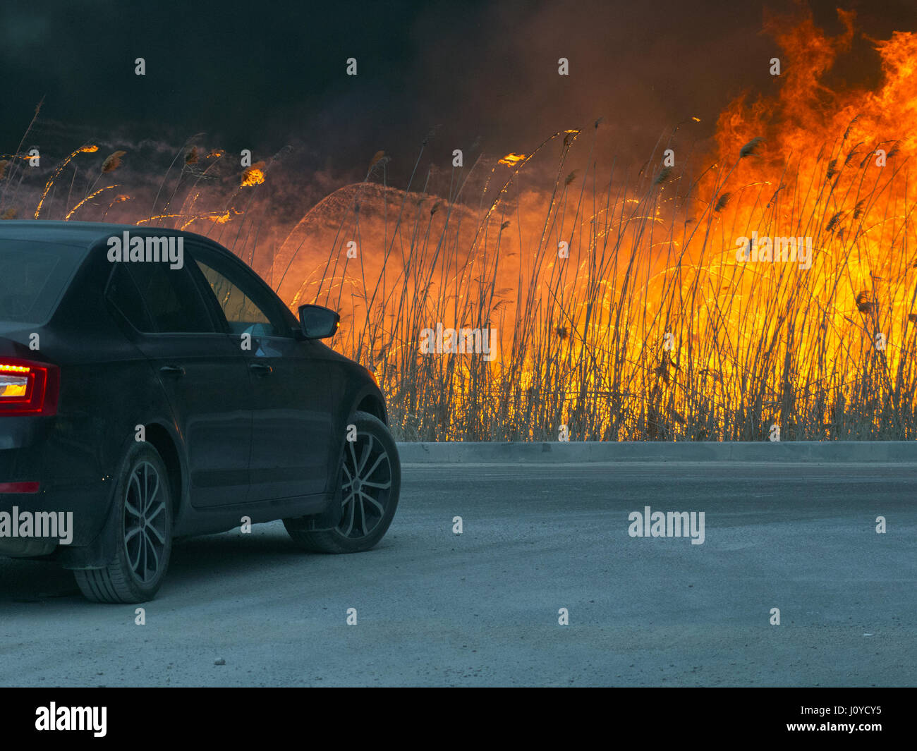 The car is near the dangerous fire Stock Photo