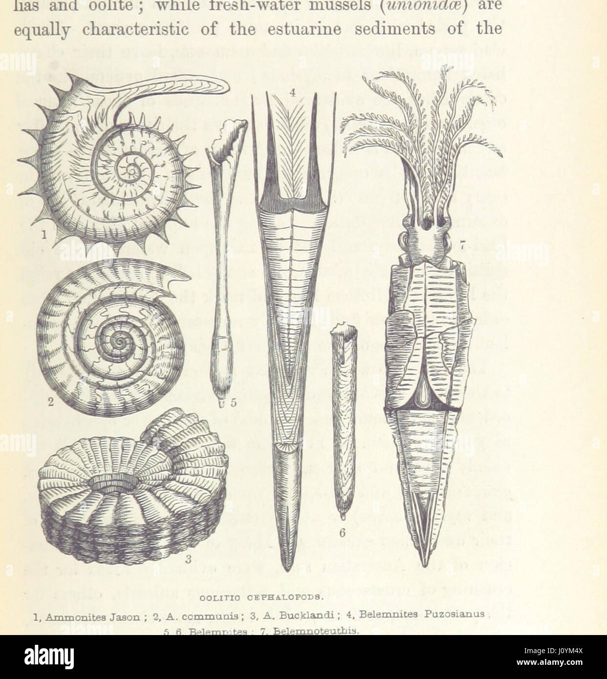 This book sketches the life-system of the Earth, focusing on both its ...