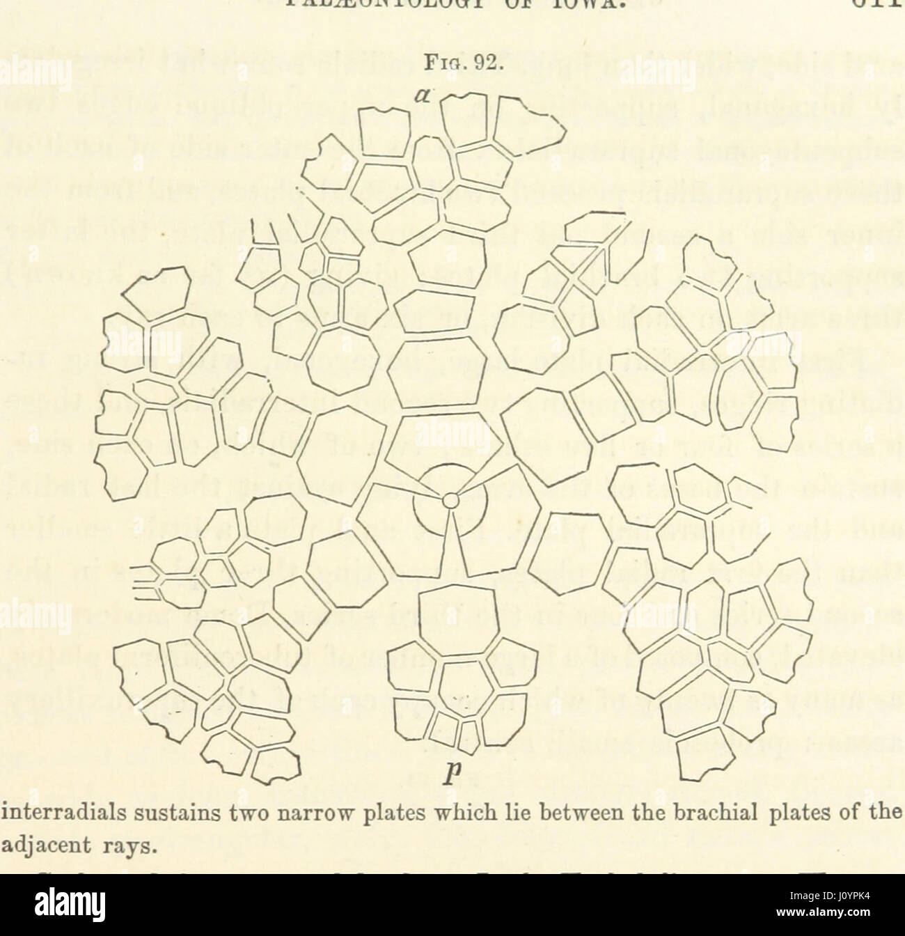 This report provides the findings of the Geological Survey of Iowa ...