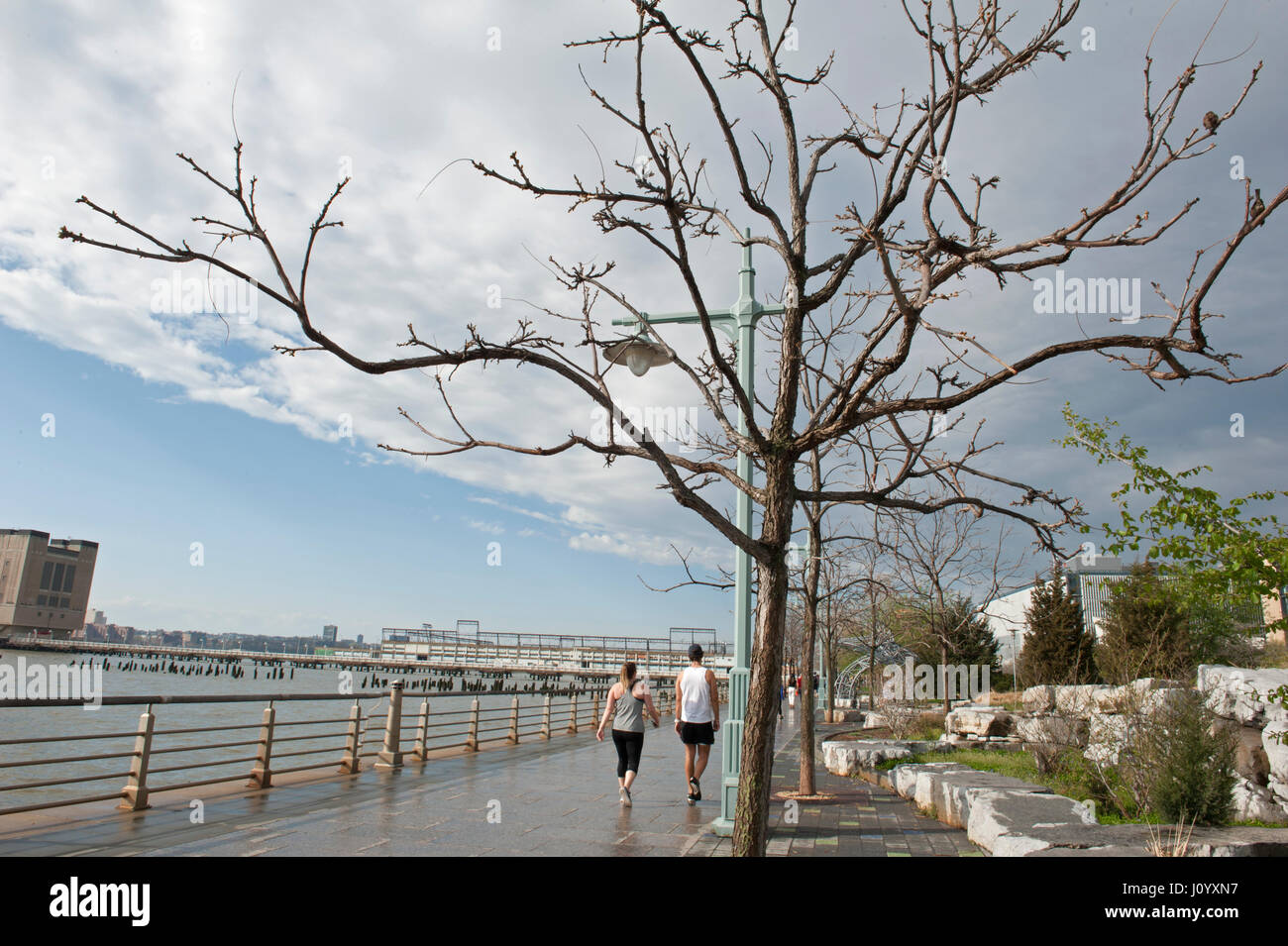Part of the Tribeca stretch of Hudson River Park after a brief rain storm on April 16, 2017. Stock Photo
