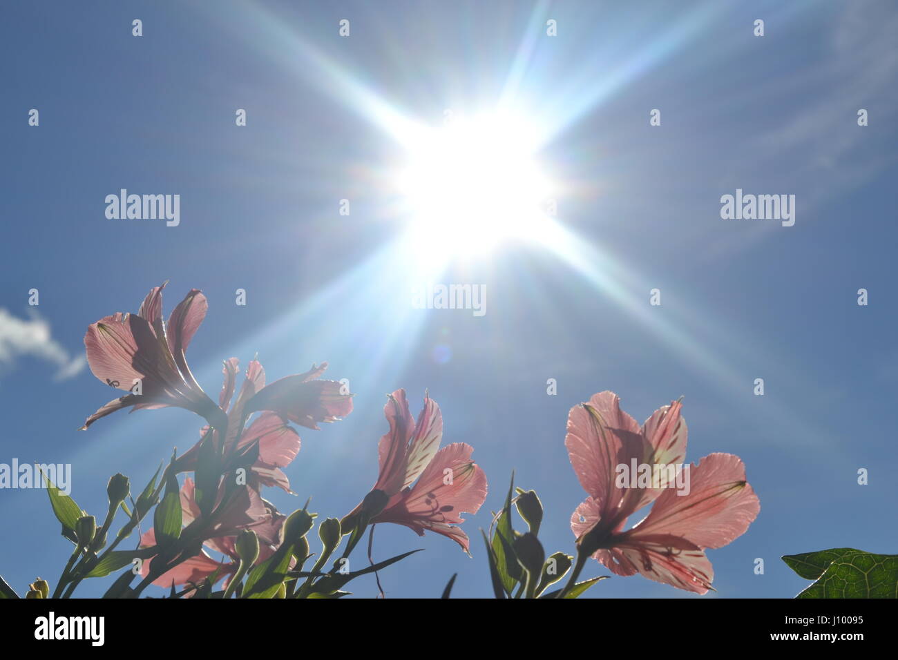 Powerful sun light hi-res stock photography and images - Alamy