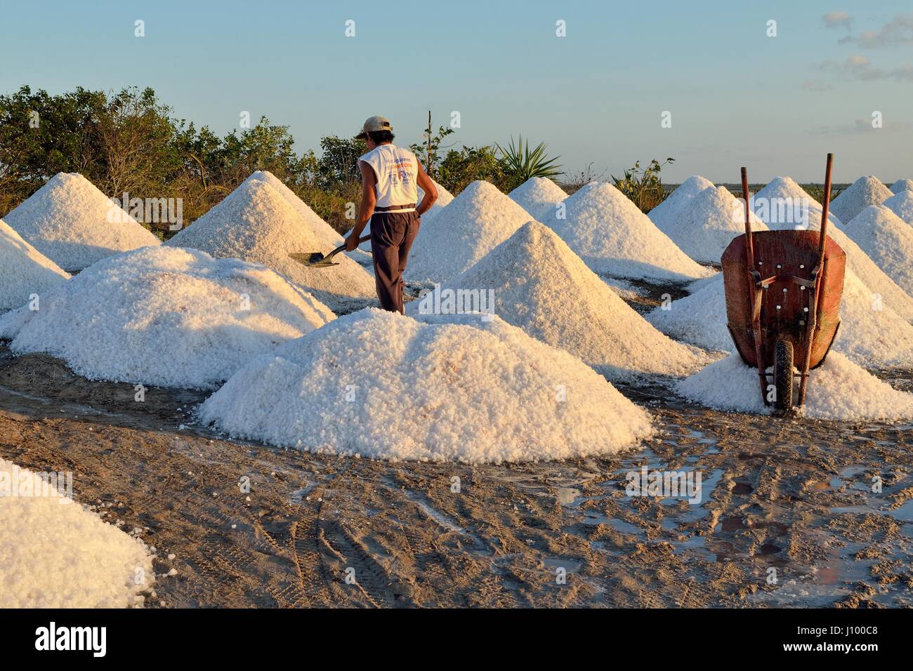 Worker between salt cones, raw salt production, saline at El Cujo, Yukatan, Mexico Stock Photo