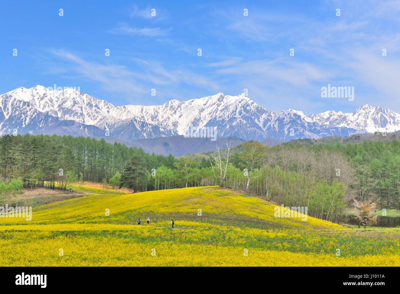 View from Nakayama Highlands, Nagano, Japan Stock Photo