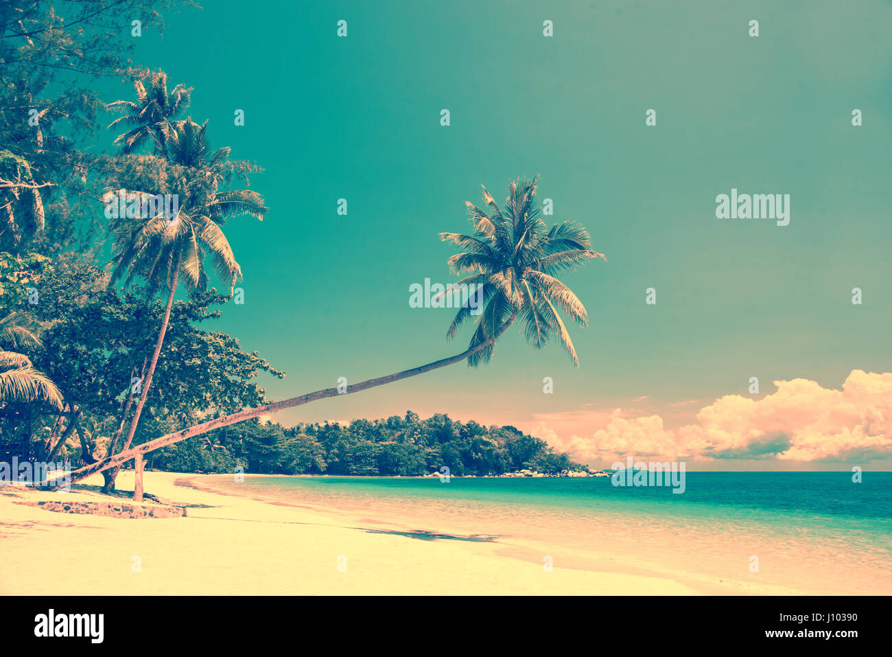 Tropical beach landscape with a leaning palm tree, vintage process Stock Photo