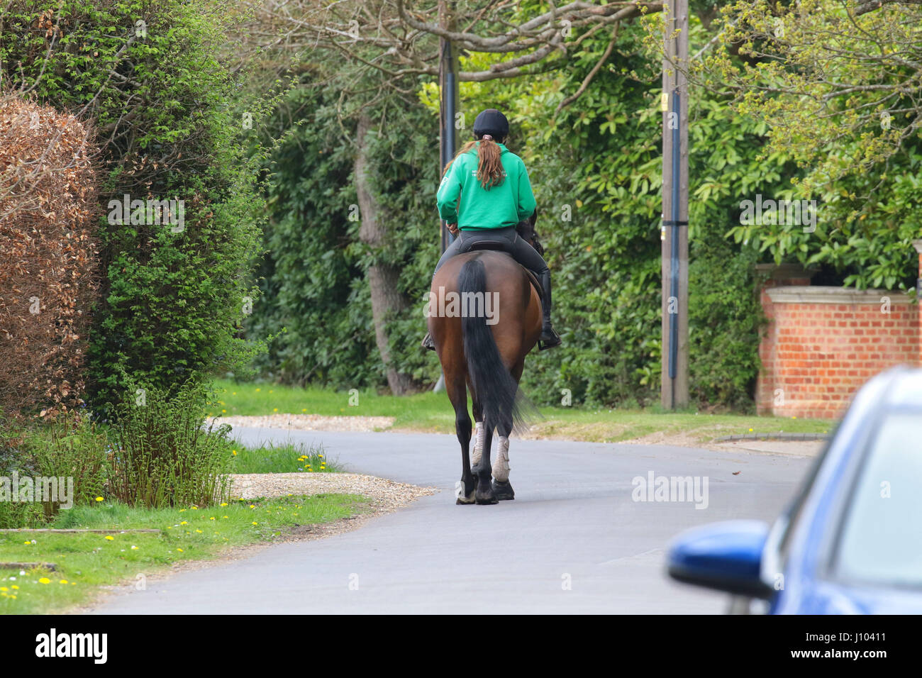 Horse rider on country lane hi-res stock photography and images - Alamy