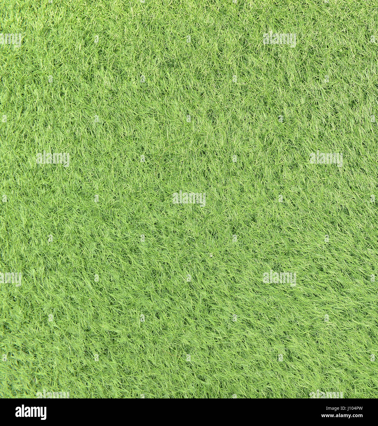 Grass seamless texture, background Stock Photo