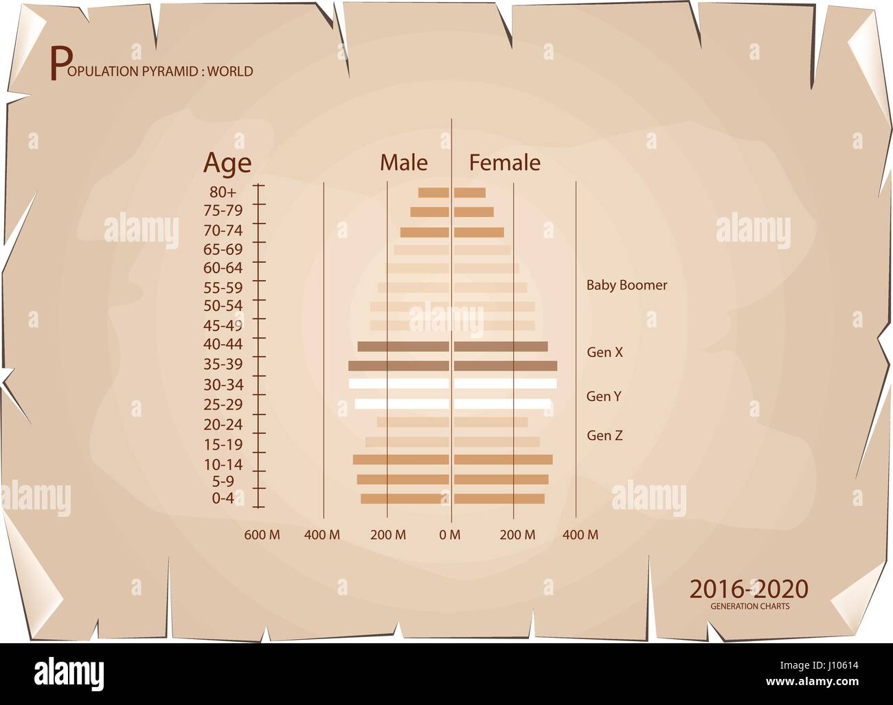 Population and Demography, Population Pyramids Chart or Age Structure Graph with Baby Boomers Generation, Gen X, Gen Y and Gen Z in 2016 to 2020 on Ol Stock Vector