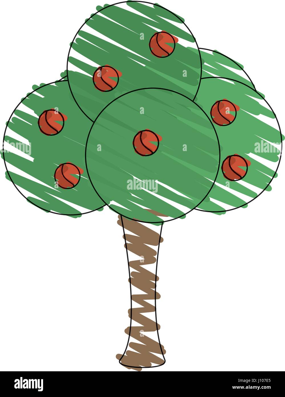 drawing tree fruit natural Stock Vector Image & Art Alamy