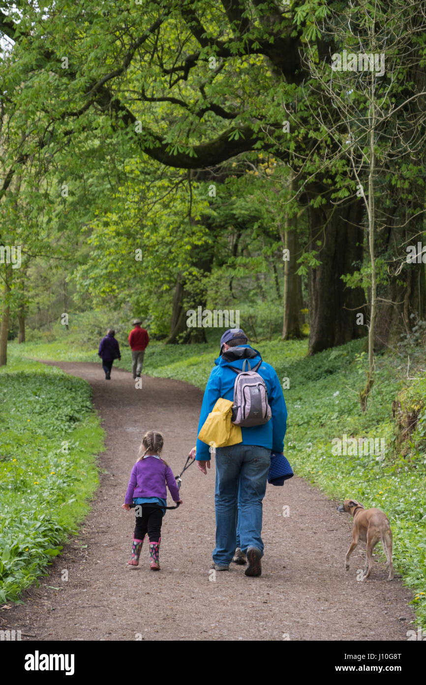 Newark Park, Cotswolds. 17th April, 2017. UK Weather. Families enjoy the day walking through the woodlands of Newark Park (NT) in the Cotswolds. Paths lined with wild garlic. Credit: Graham Light/Alamy Live News Stock Photo