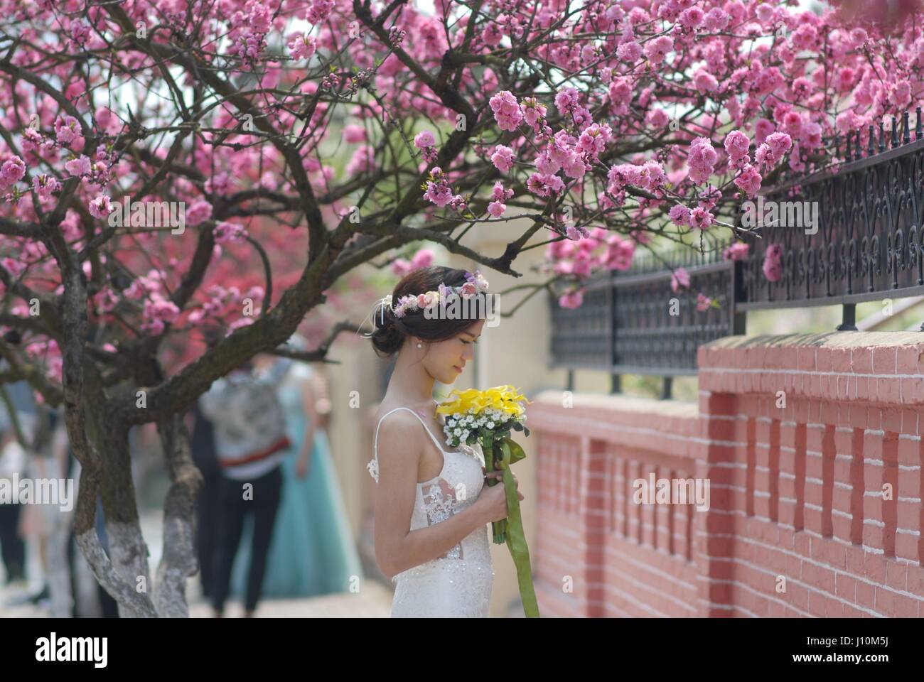 Qingdao, Qingdao, China. 17th Apr, 2017. Qingdao, CHINA-April 17 2017: (EDITORIAL USE ONLY. CHINA OUT) Young people flock to the Eight Great Passes to take wedding photos in Qingdao, east China's Shandong Province, April 17th, 2017. Credit: SIPA Asia/ZUMA Wire/Alamy Live News Stock Photo