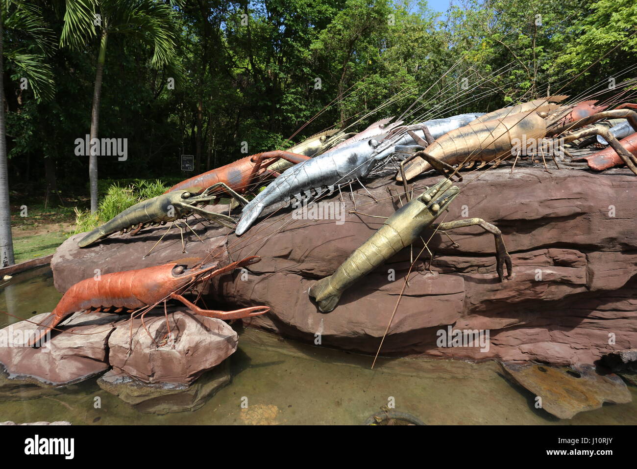 The river shrimp hi-res stock photography and images - Page 6 - Alamy