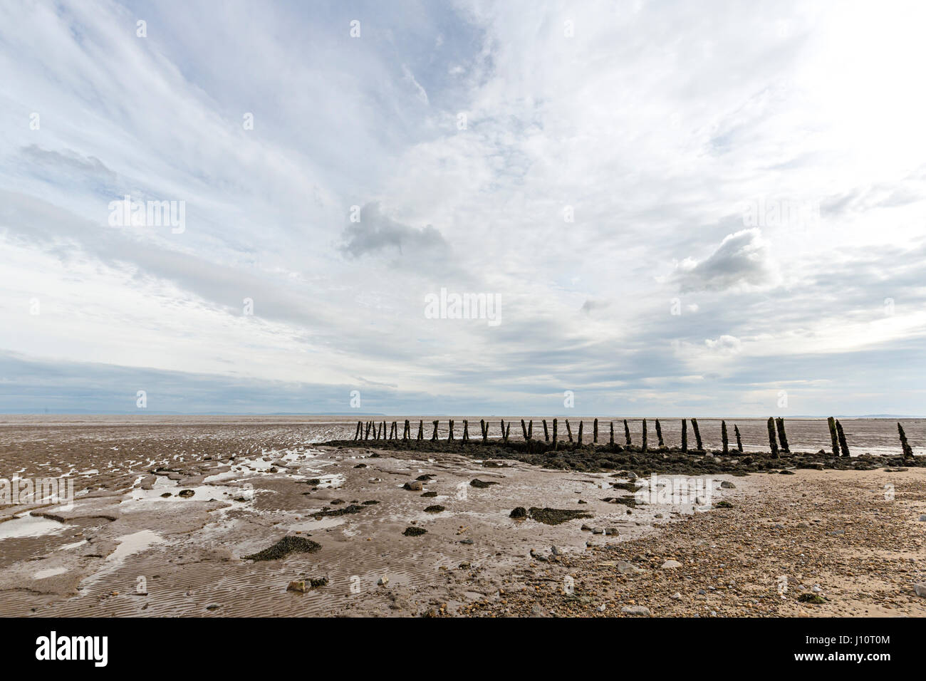 Eroded rotting wood from old pilings perhaps used for fish salmon and elver pucher traps at Goldcliff on the Gwent Levels, Wales, UK Stock Photo