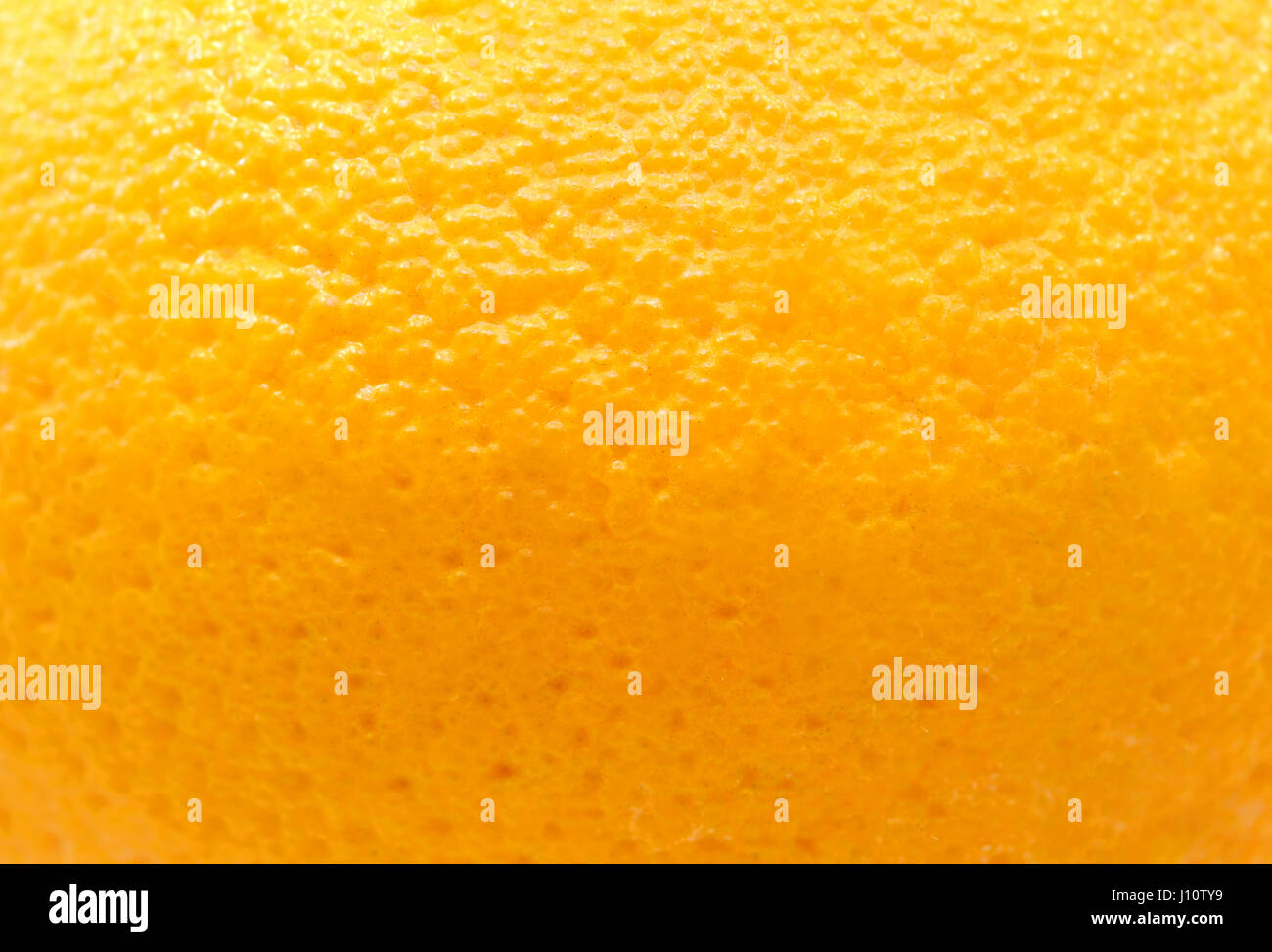 Beautiful Texture Skins Orange Photographed In Close Up Stock Photo Alamy