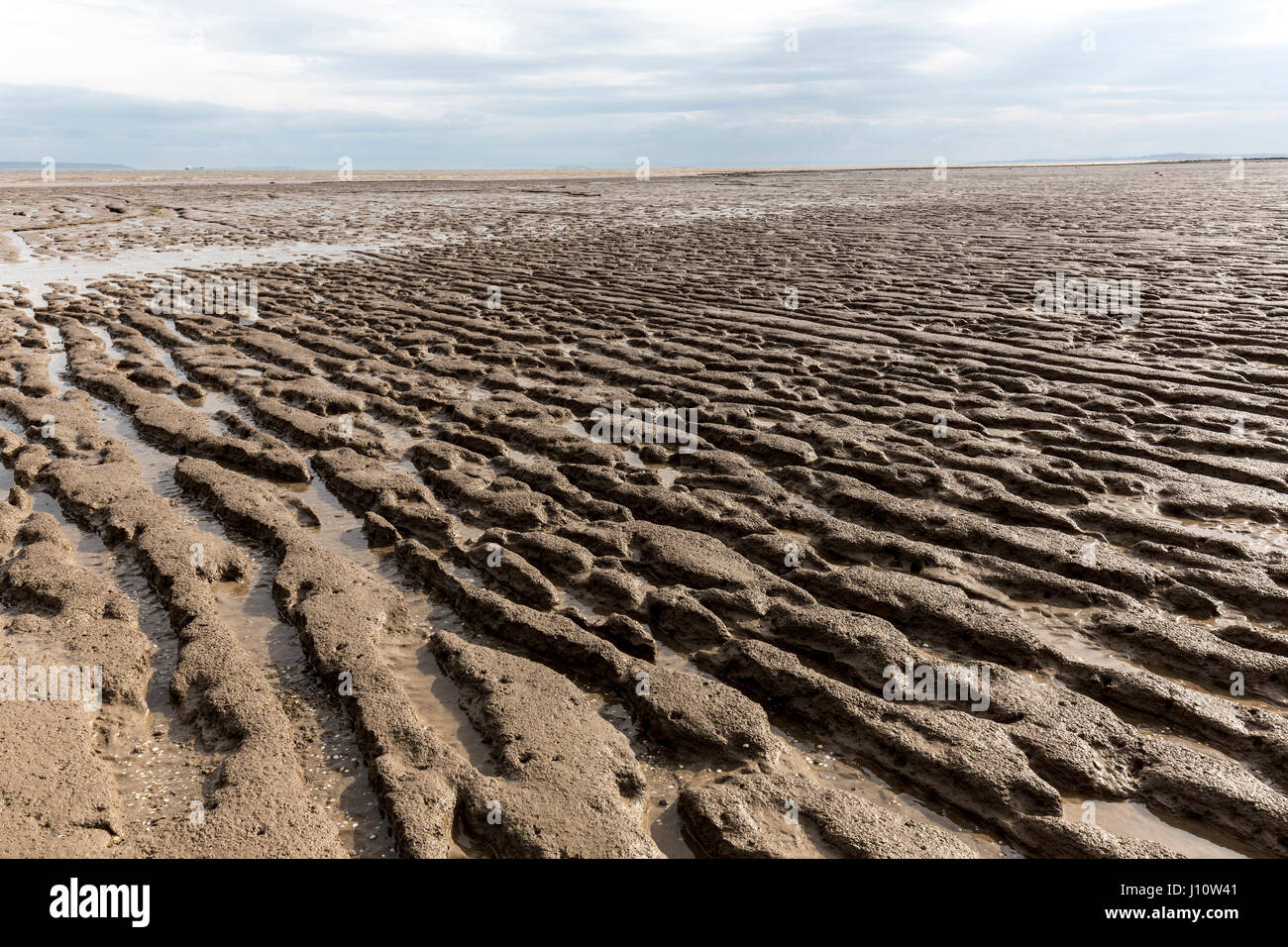 Ripples scoured into clay and muddy sea bed at low tide, Goldcliff on the Gwent Levels, Wales, UK Stock Photo