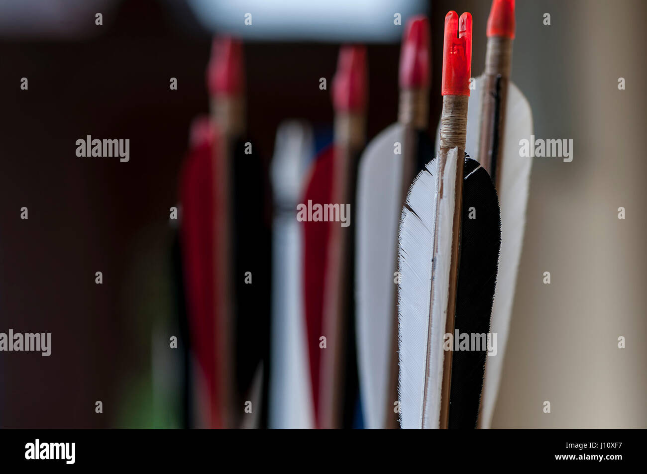Close-up on arrows. Nock and fletching. Shallow depth of field. Stock Photo