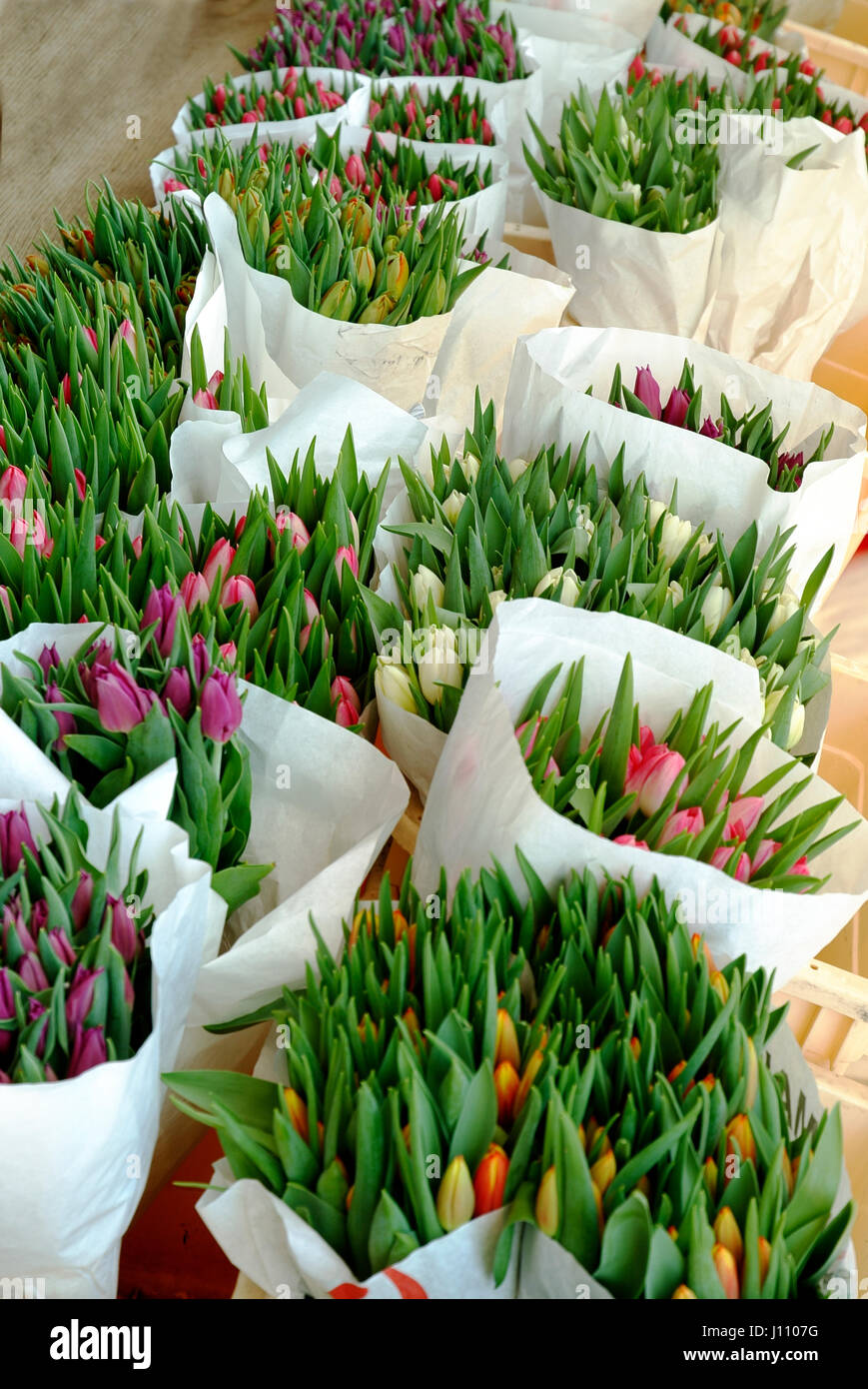 many tulips on farmers market Stock Photo