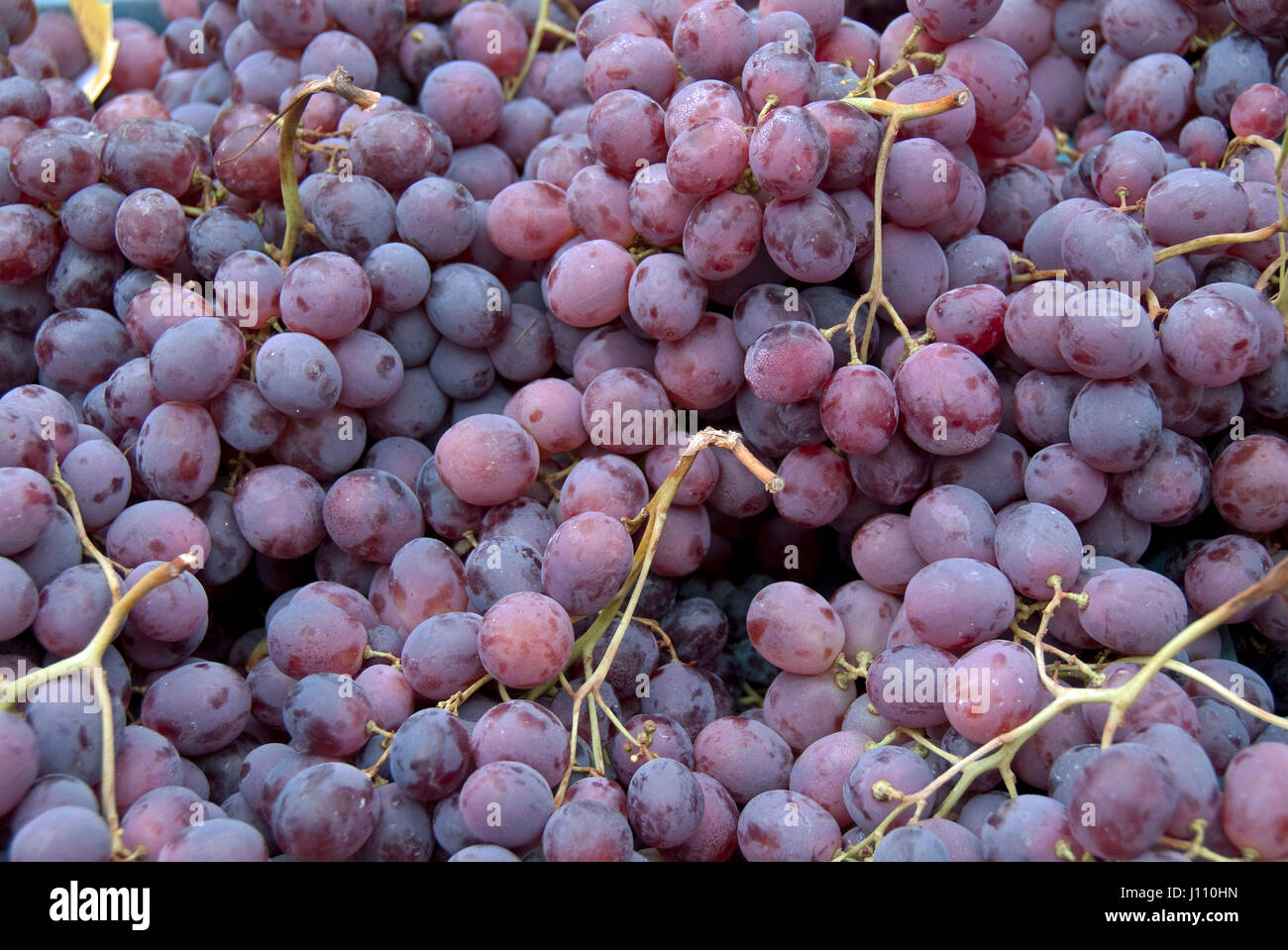 Vine grape on weekly market, Alcudia, Islas Baleares, Majorca, Mallorca, Spain, Stock Photo