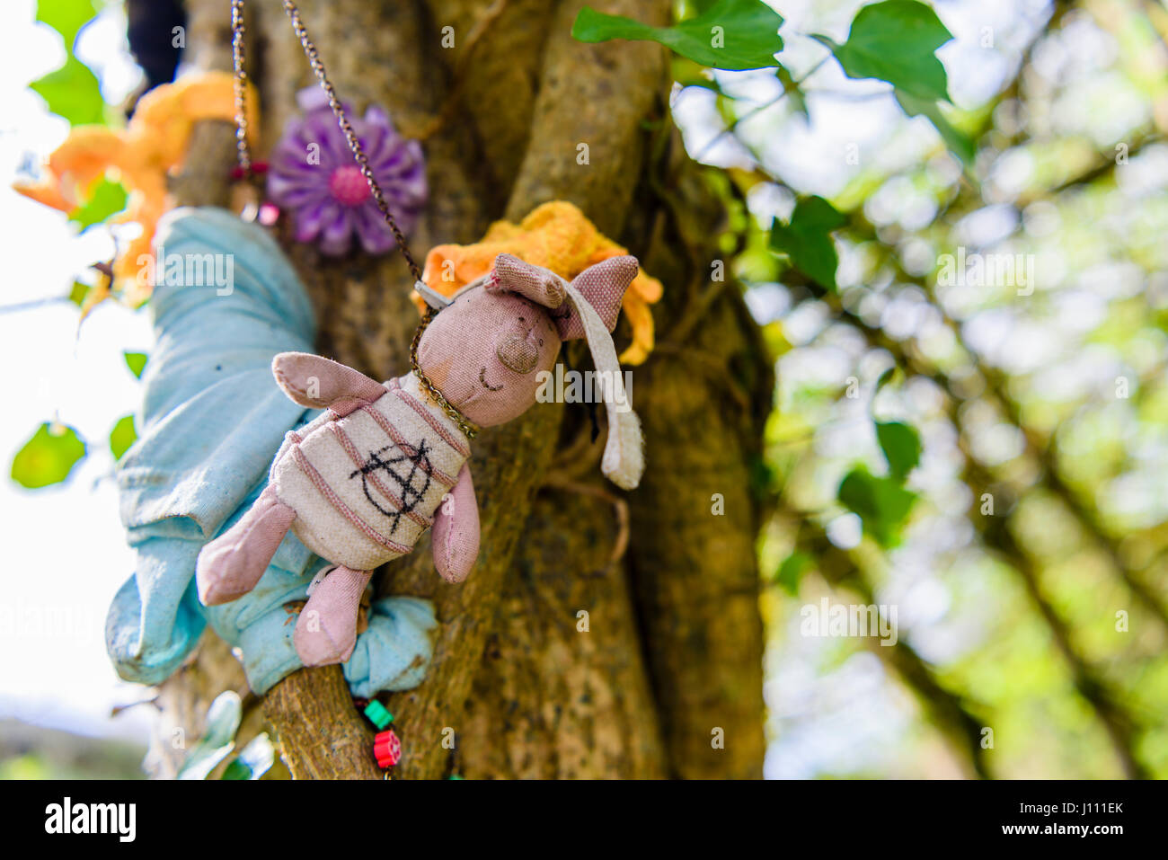 Irish wishing well hires stock photography and images Alamy