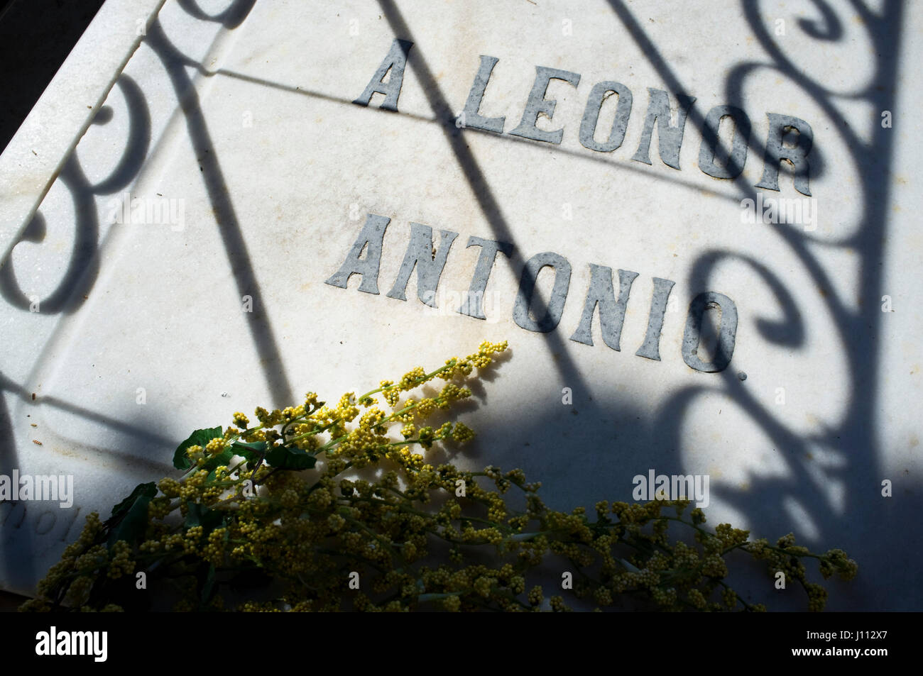Tomb of Leonor Izquierdo, wife of poet Antonio Machado, in Municipal