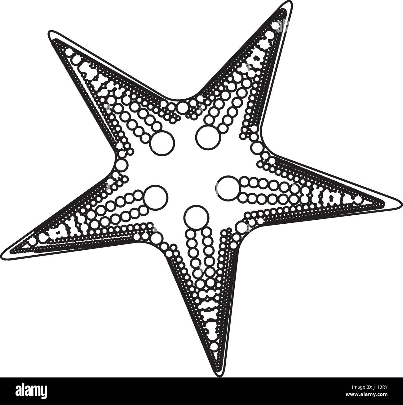 white background with monochrome silhouette of starfish Stock Vector ...