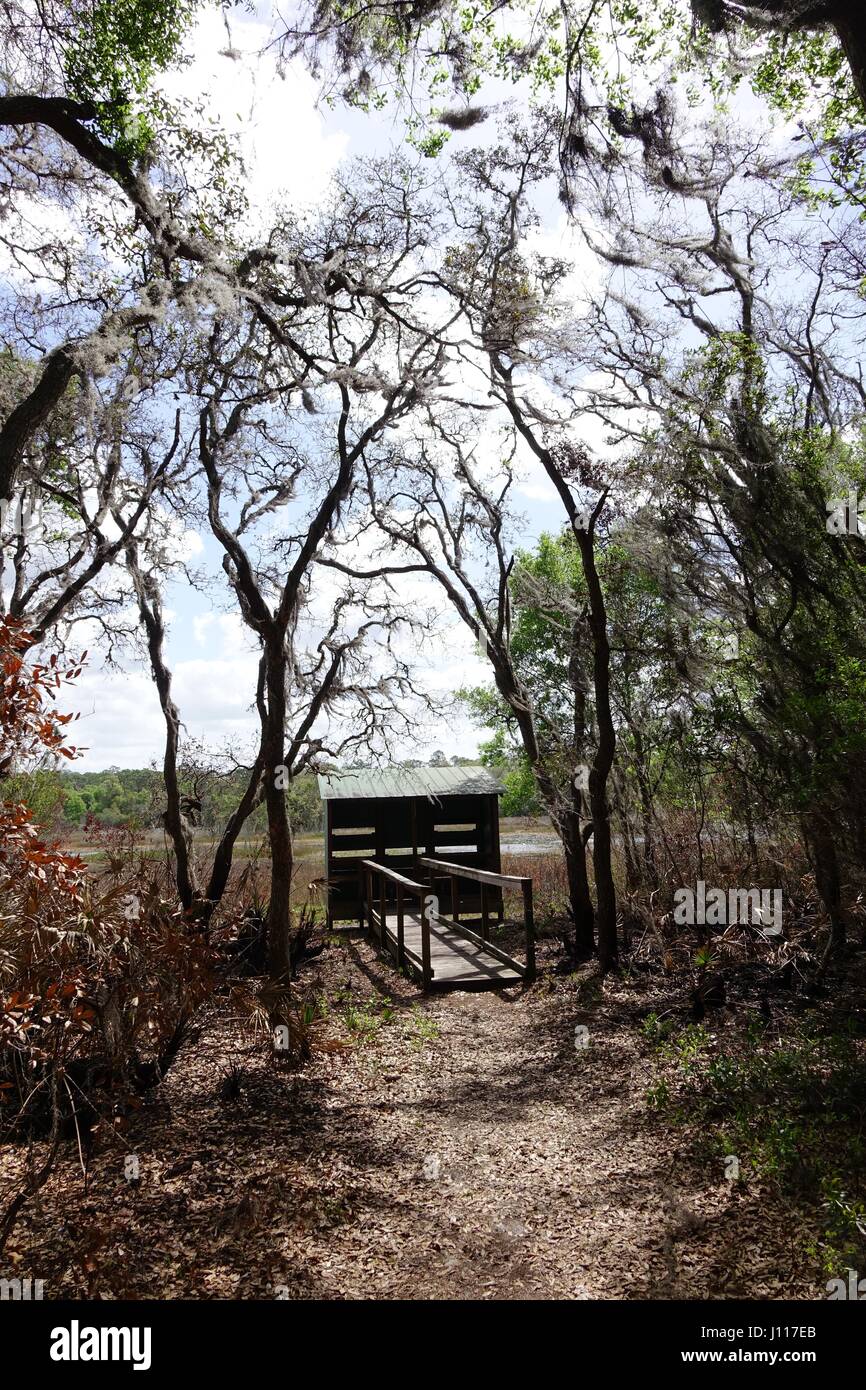Photo blind at May's Prairie, Chinsegut Wildlife and Environmental Area,  Brooksville, Florida Stock Photo