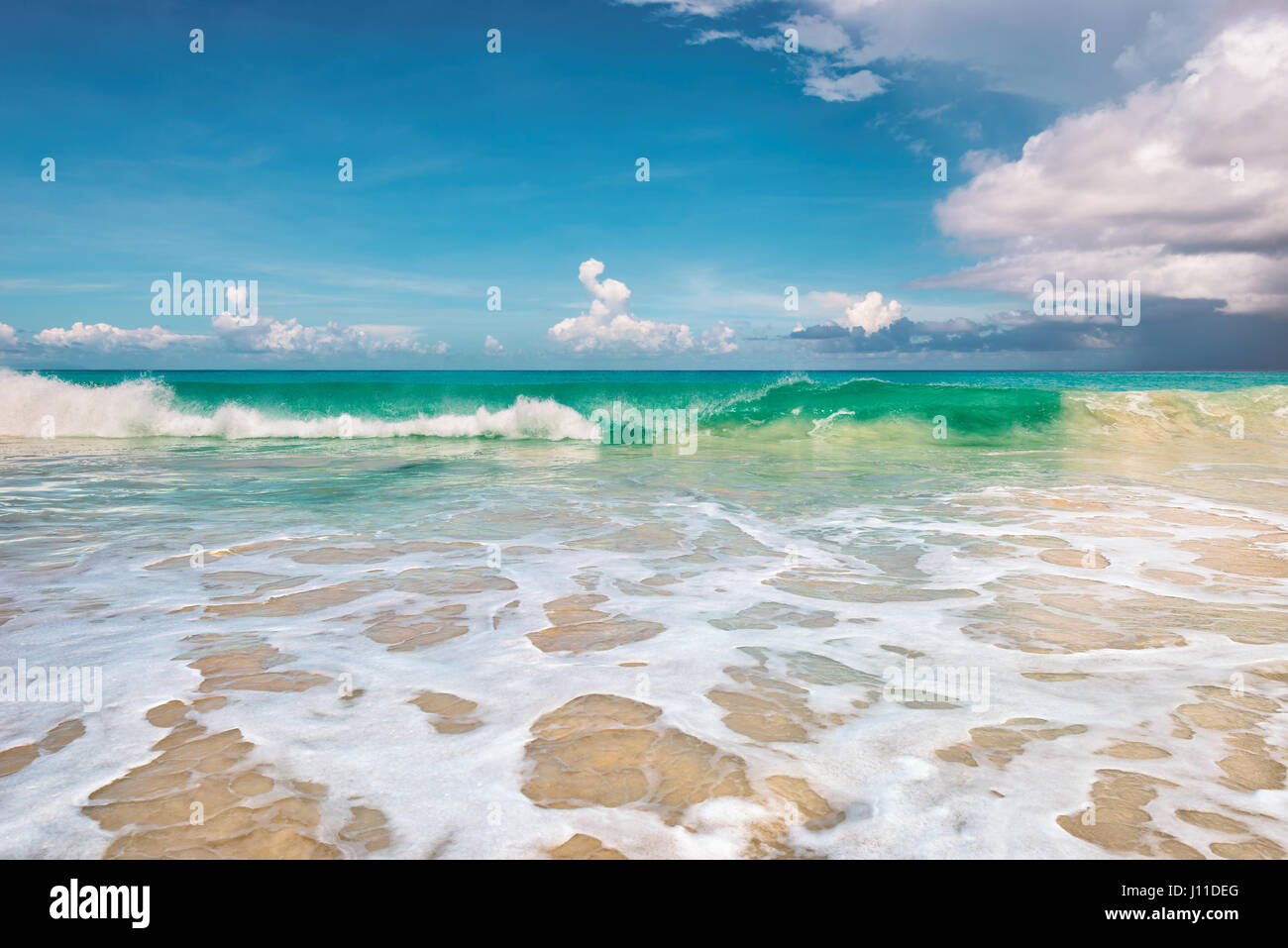 Beautiful beach tropical palm hi-res stock photography and images - Alamy