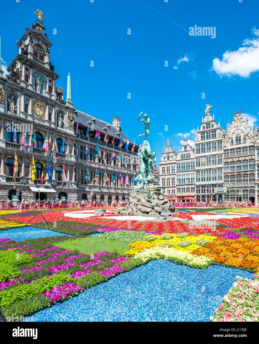 Flower carpet in front ot Antwerp city hall, Grote markt, Belgium Stock ...
