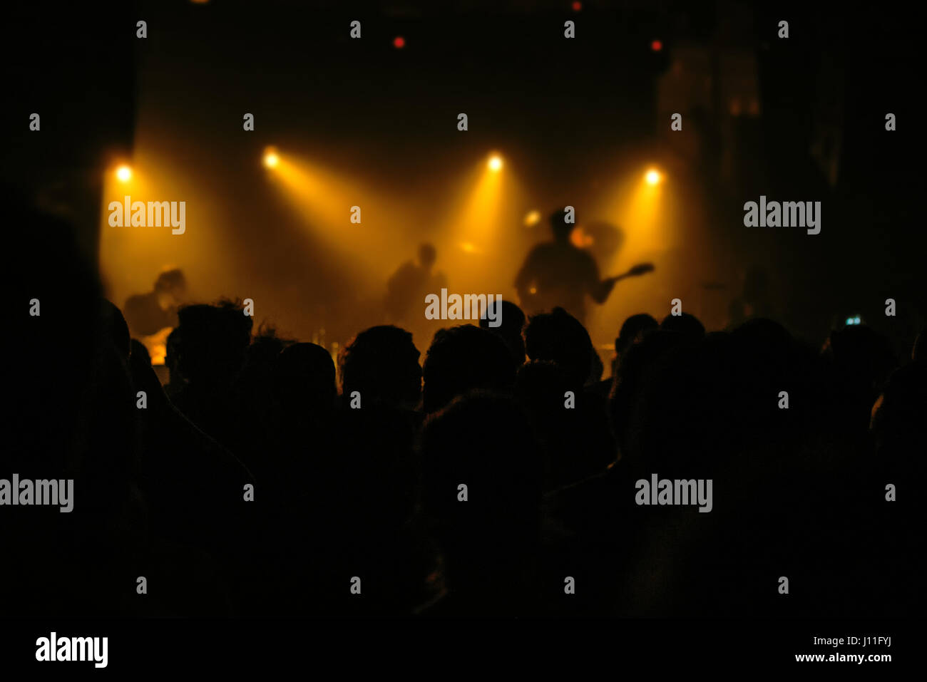 Music concert fans crowd, people at popular live rock performance, selective focus Stock Photo