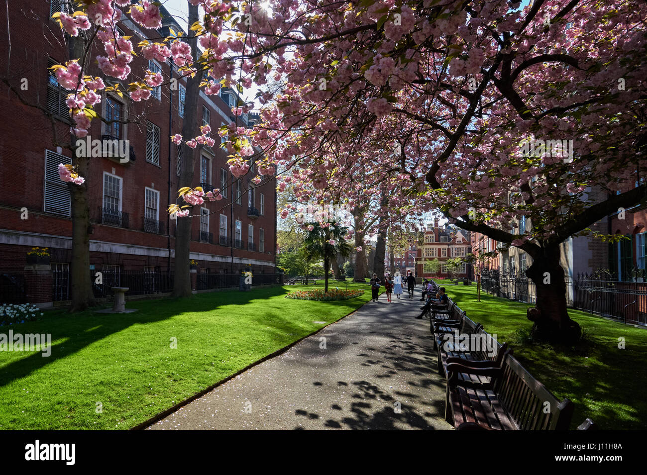 The Mount Street Gardens in Mayfair, London England United Kingdom UK Stock Photo