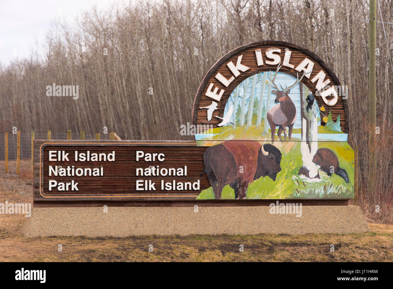 Elk island national park hires stock photography and images Alamy
