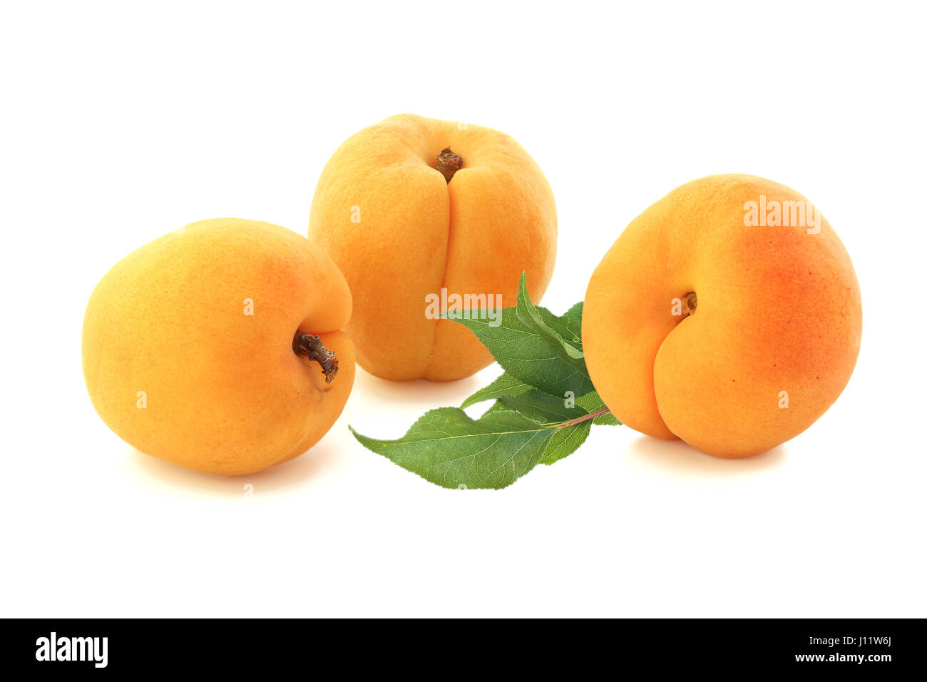 Apricots with twig isolated on white background Stock Photo - Alamy