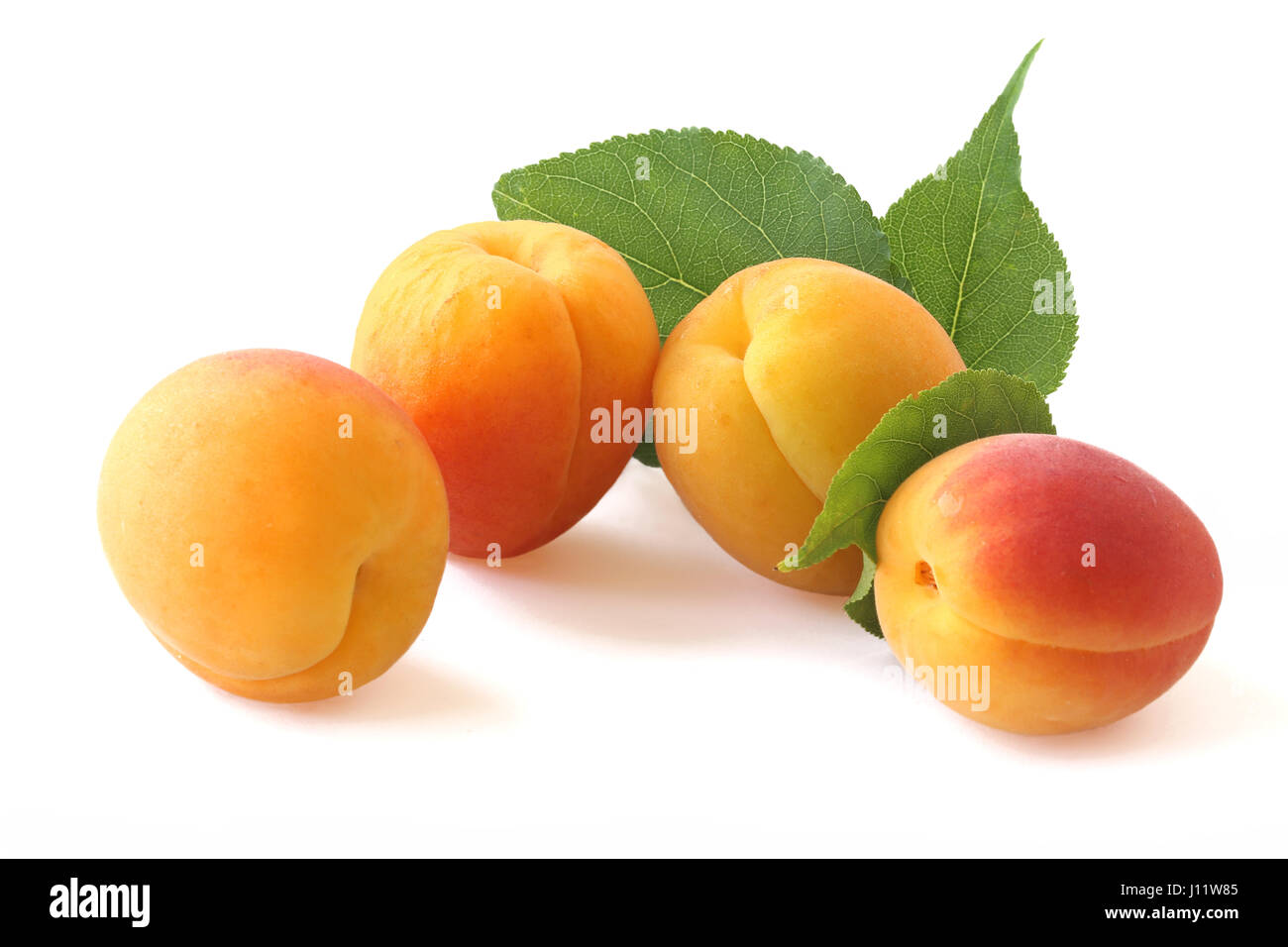 Apricots with twig isolated on white background Stock Photo - Alamy