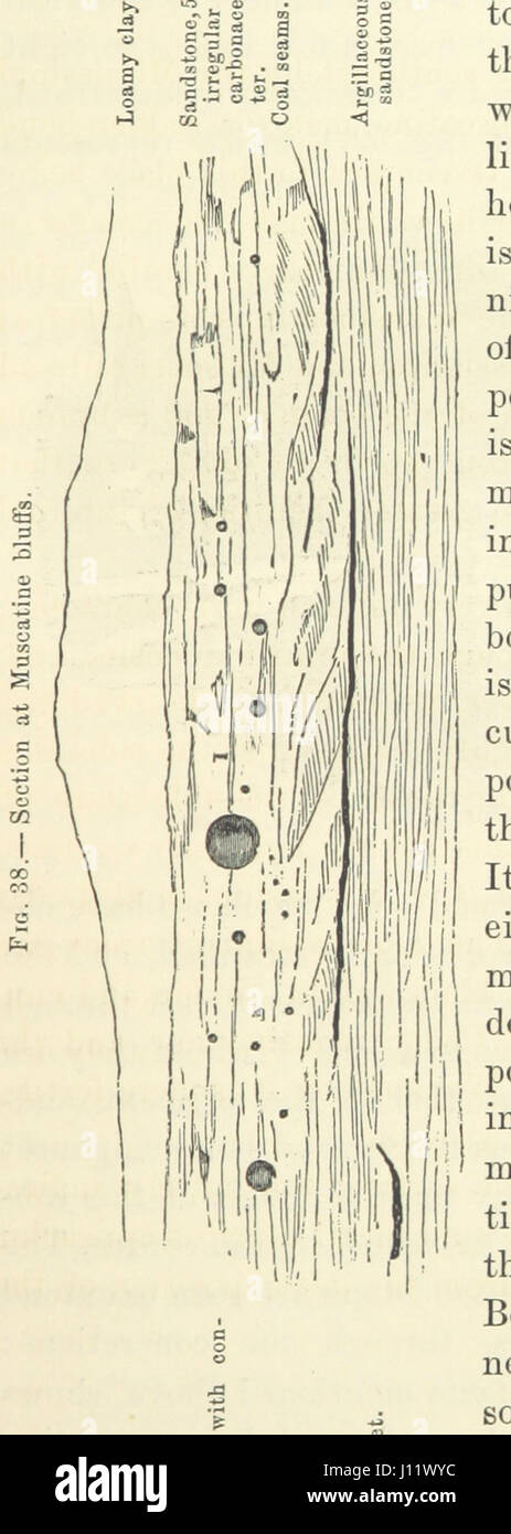 Report on the Geological Survey of Iowa. By J. Hall, J. D. Whitney ...