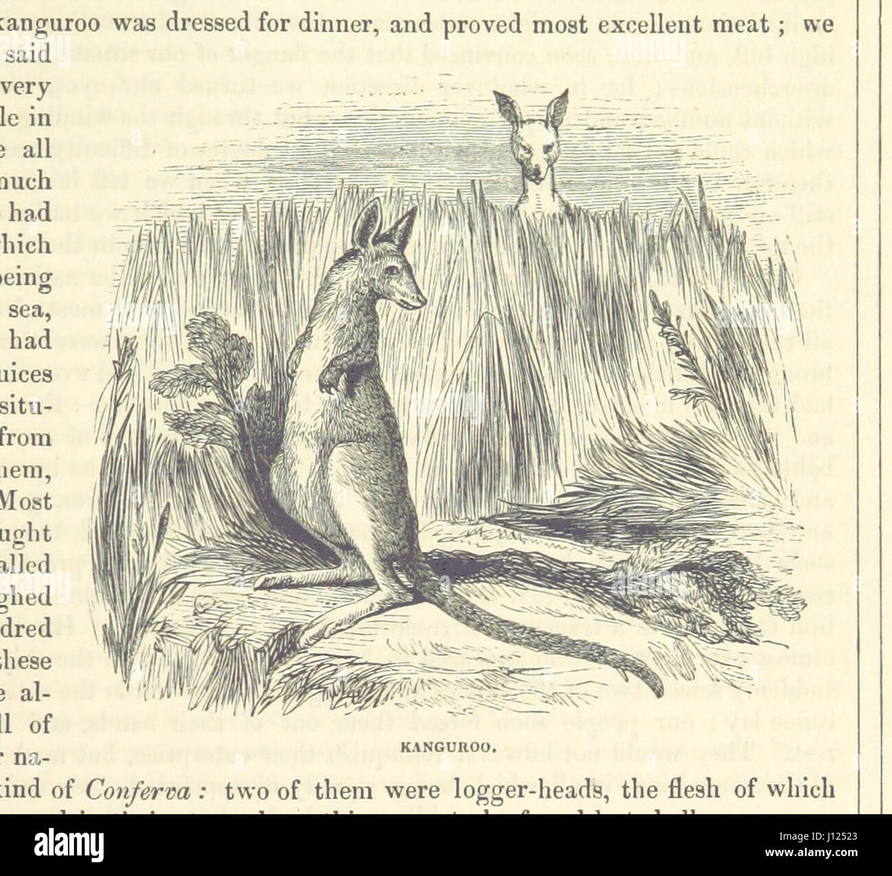 [The Voyages of Captain James Cook. Illustrated ... With an appendix ...