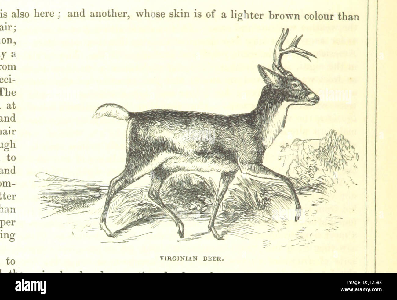 [The Voyages of Captain James Cook. Illustrated ... With an appendix ...