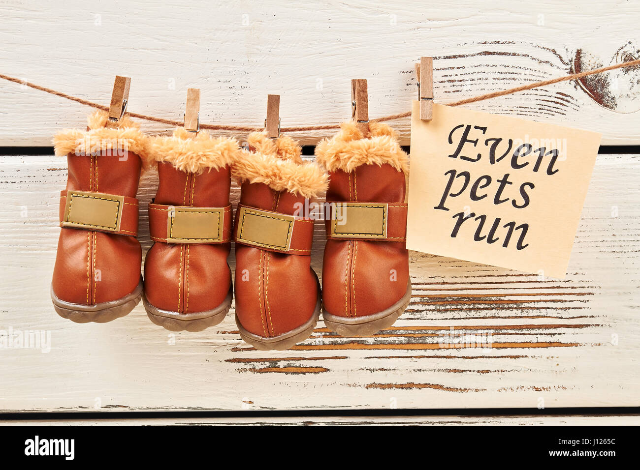 Dog's boot on clothesline Stock Photo Alamy