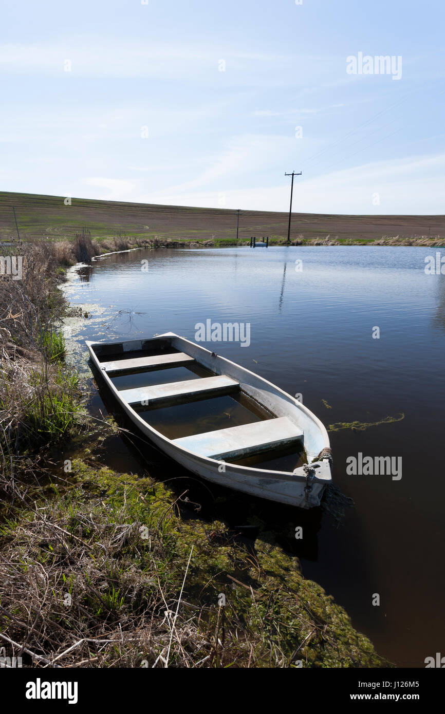 An old row boat partly filled with water in a pond in eastern Washington. Stock Photo