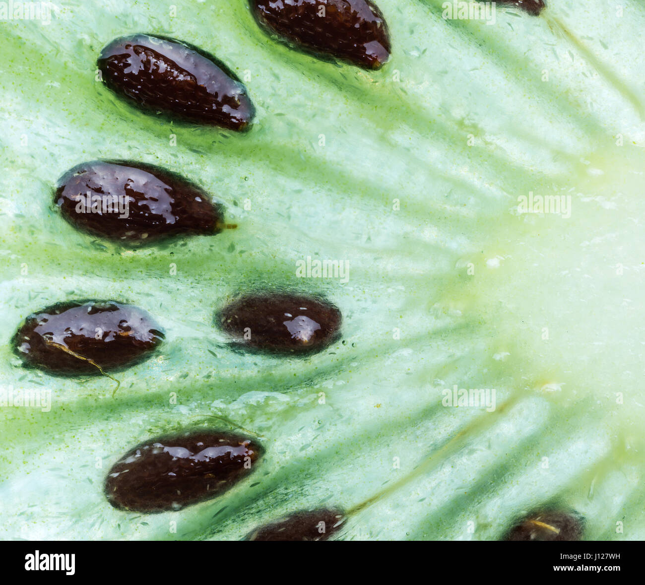 Kiwi with seeds close-up background. Stock Photo