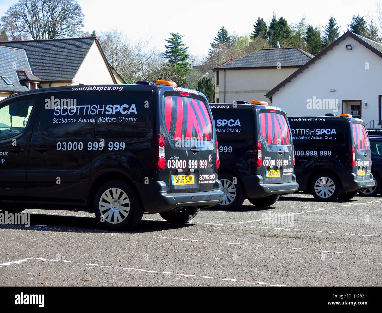 Scottish SPCA vans Stock Photo Alamy