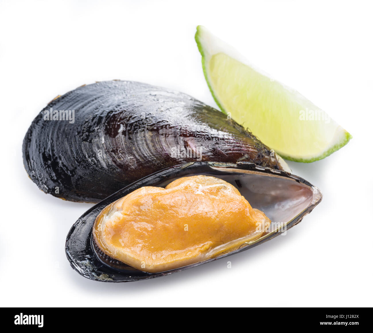 One boiled mussel on a white background. Stock Photo