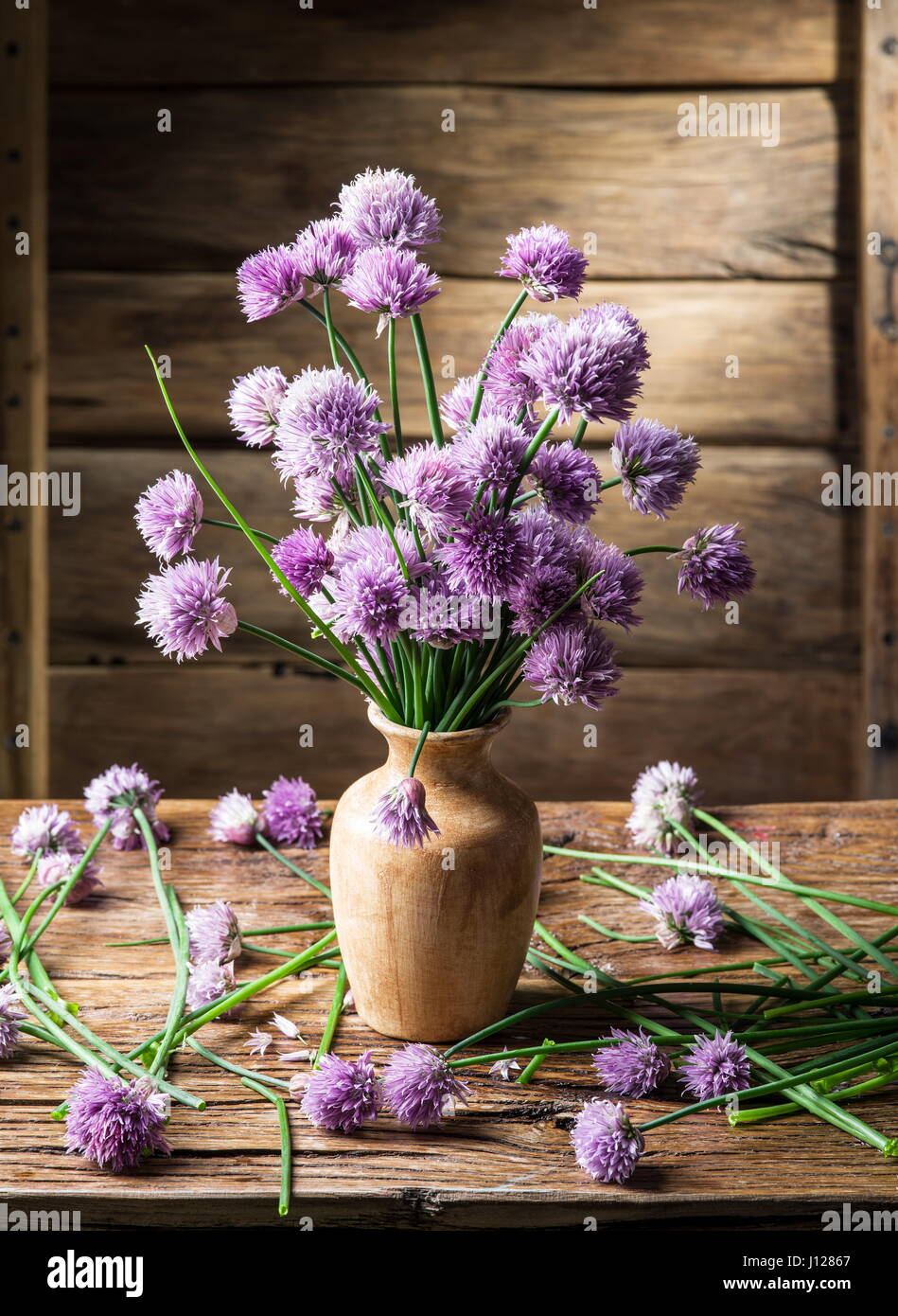 Bouquet of onion (chives) flowers in the vase on the wooden table Stock