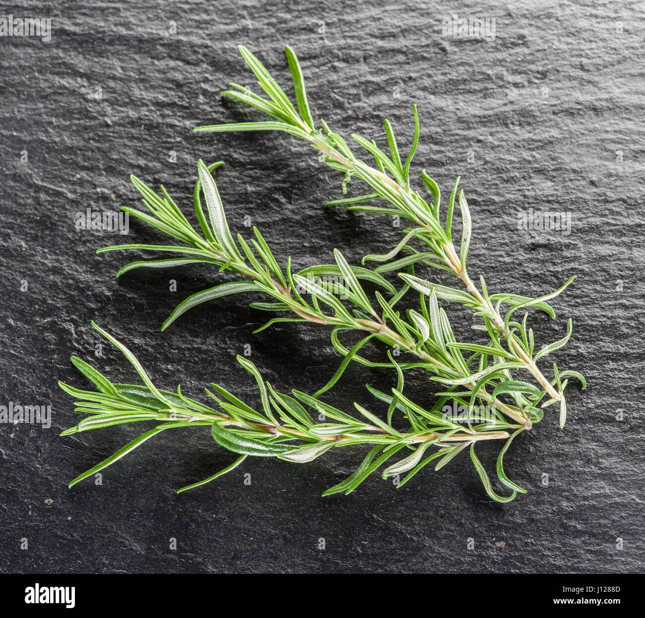 Fresh rosemary leaves on the black background Stock Photo Alamy